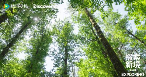 海外华人追剧难?手把手教你解锁国内影视音乐综艺,告别播放限制与卡顿